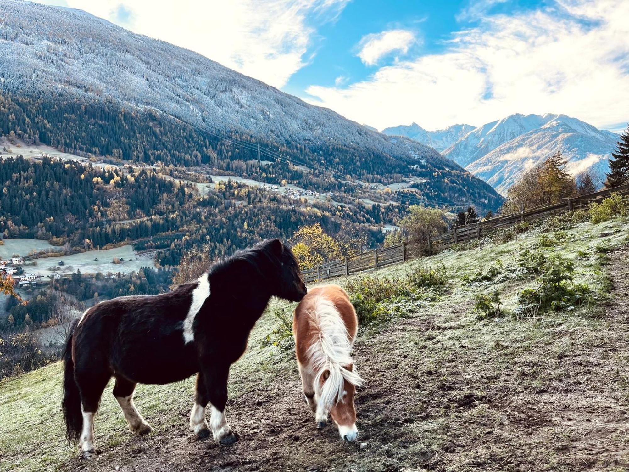 Apart Alpenzeit Arzl im Pitztal Buitenkant foto