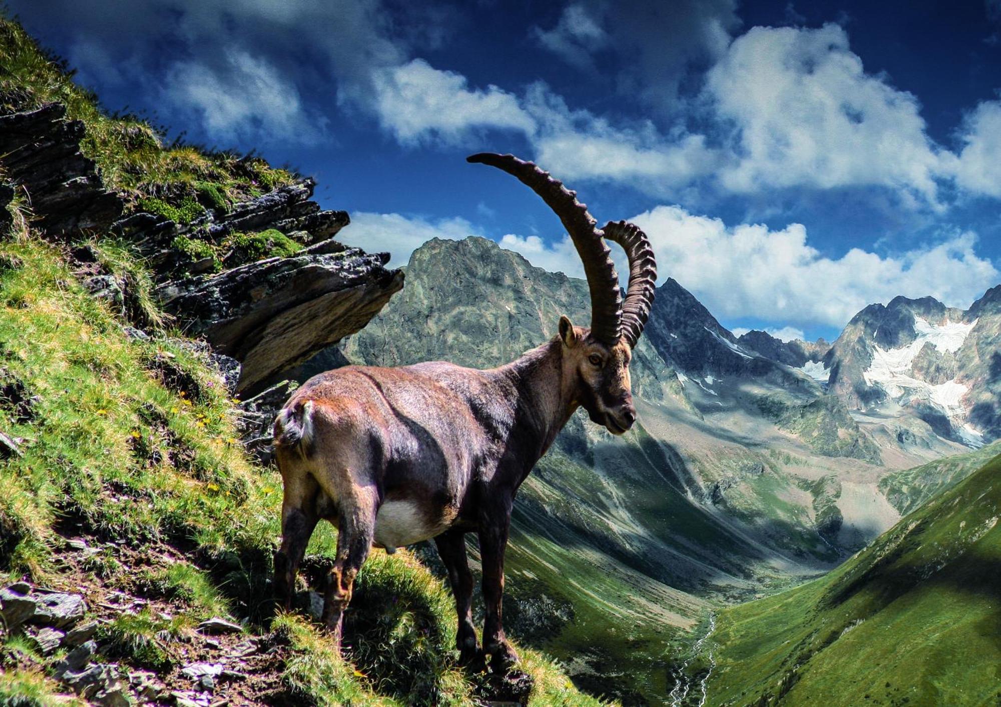 Apart Alpenzeit Arzl im Pitztal Buitenkant foto