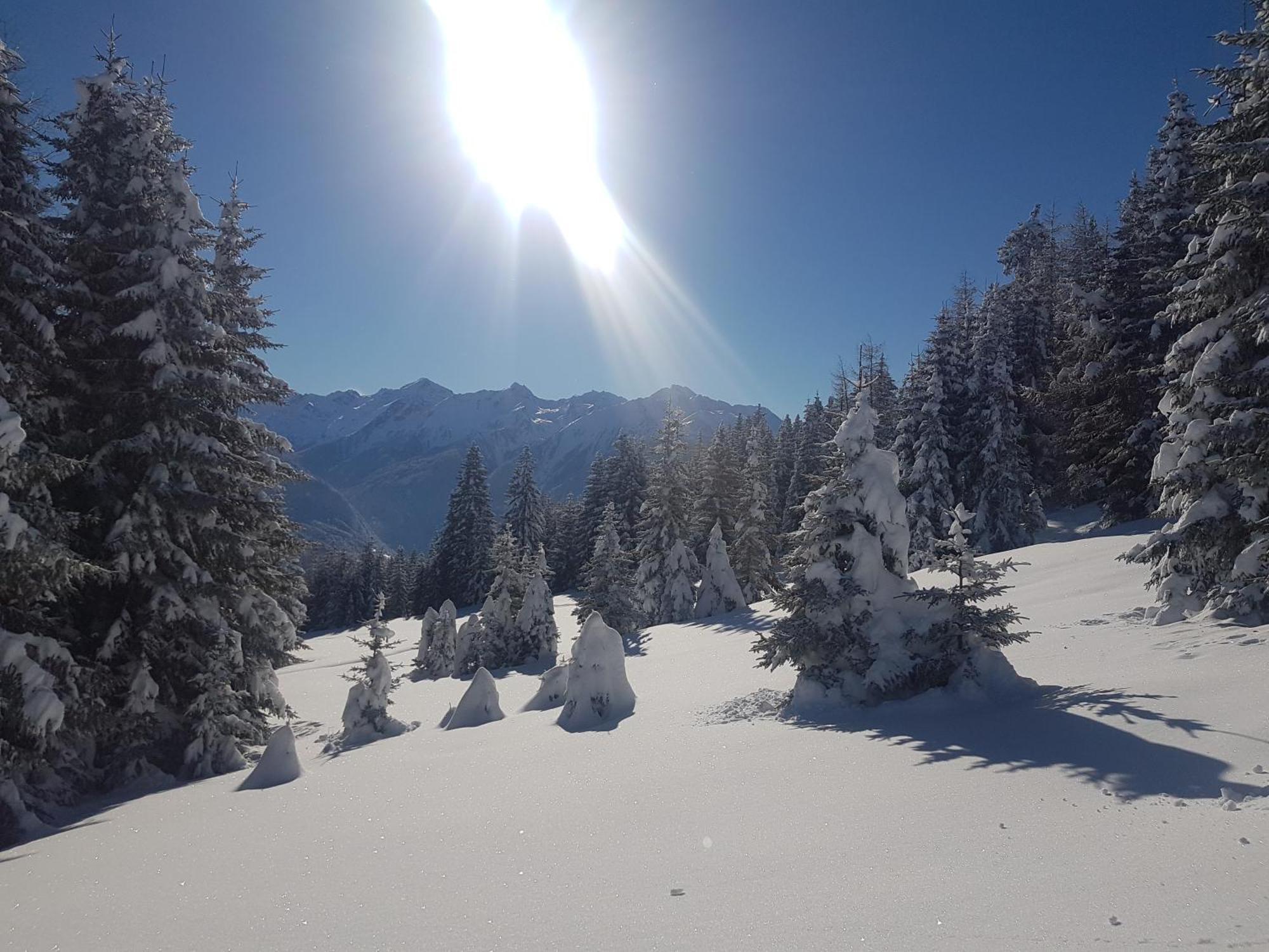 Apart Alpenzeit Arzl im Pitztal Buitenkant foto